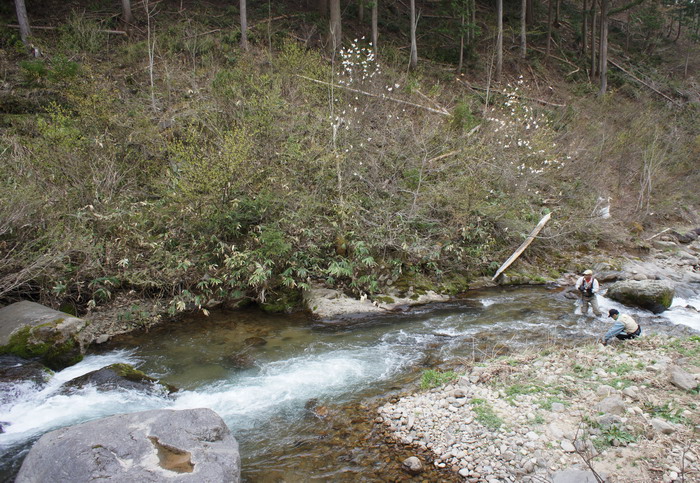 c0197578_14384853.jpg
