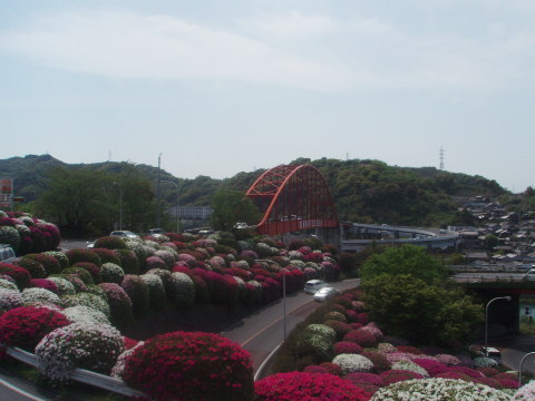 d0098183_10174658.jpg