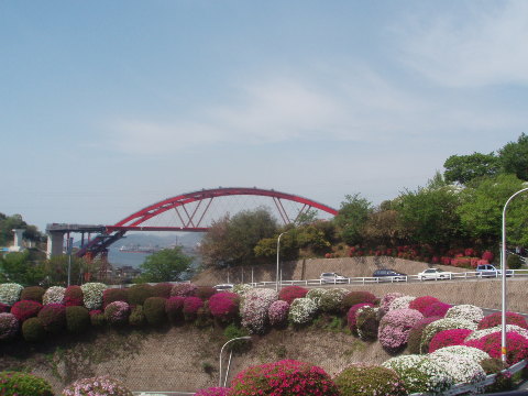 d0098183_10194055.jpg