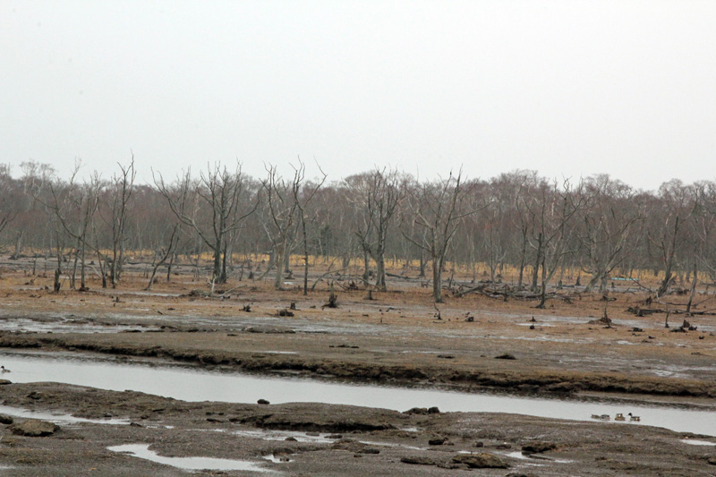 b0142688_10153852.jpg