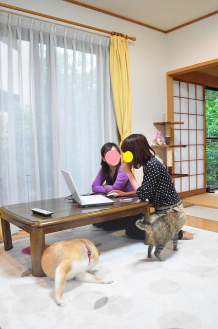 つーちゃんが無視されたの巻_a0126590_22133672.jpg