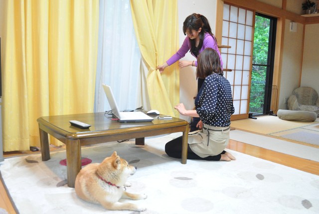 つーちゃんが無視されたの巻_a0126590_22174327.jpg