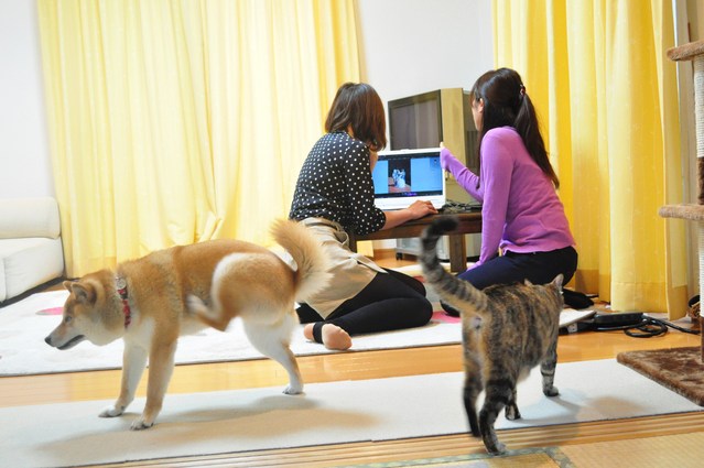 つーちゃんが無視されたの巻_a0126590_22313096.jpg