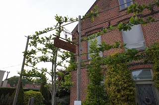 e0206490_23415722.jpg