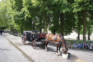 e0206490_23422969.jpg