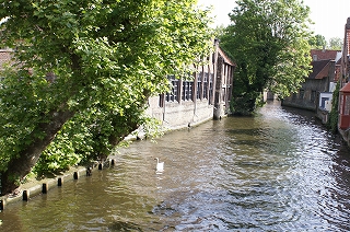 e0206490_23485252.jpg