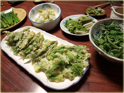 f0236291_1061323.jpg