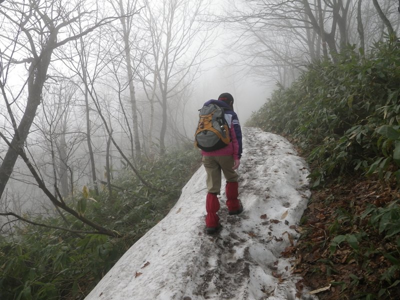 夏山登山は剣山から♪_f0203992_2364664.jpg