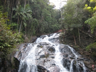 a0042295_20144142.jpg