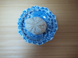 d0133199_13104427.gif