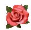 b0059000_16181475.jpg