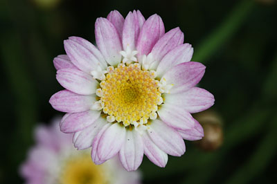 b0219900_1234341.jpg