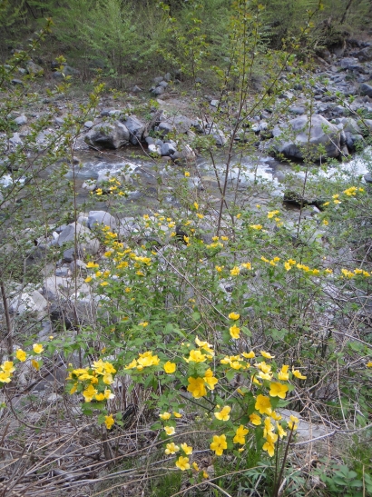 b0172805_7281267.jpg