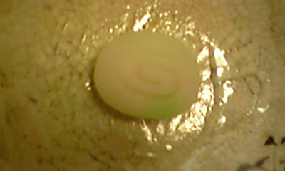 a0100706_23535338.jpg