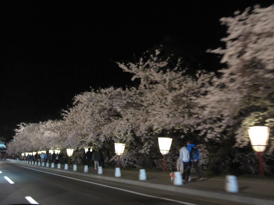 弘前さくらまつり -夜桜編-_c0222907_1950128.jpg