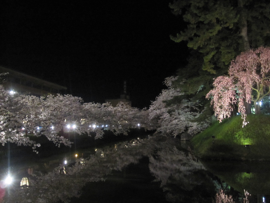 弘前さくらまつり -夜桜編-_c0222907_19501943.jpg