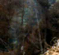e0103408_2141243.jpg
