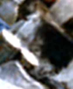e0103408_21421454.jpg