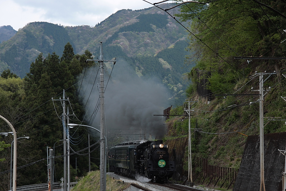たまには線路端で煙の匂いを - 2011年春・秩父 -_b0190710_7304527.jpg