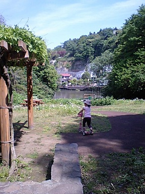 f0008510_10301850.jpg
