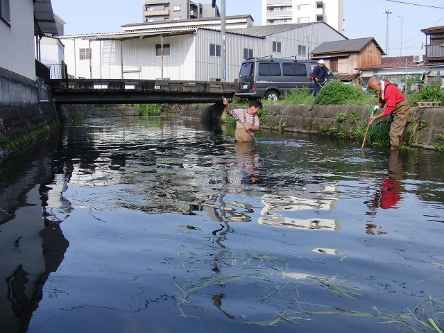 f0141310_6145877.jpg