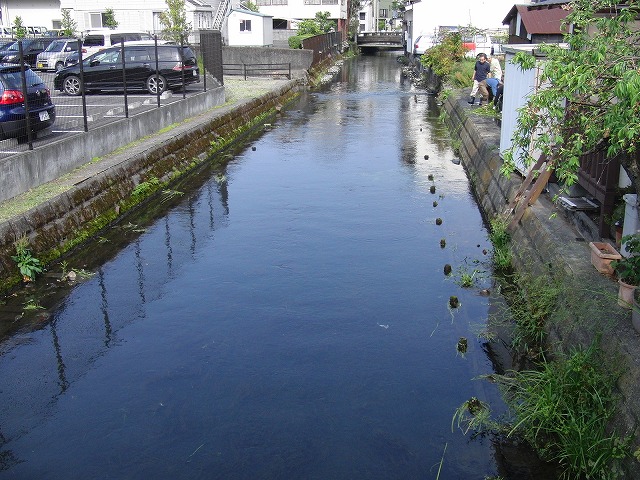 f0141310_6161942.jpg