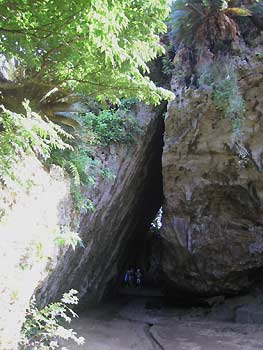 f0032812_22452413.jpg