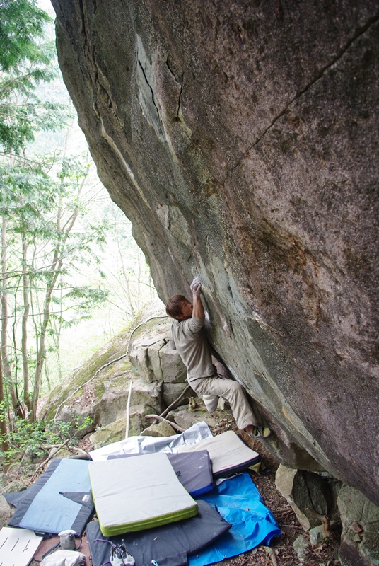 f0195813_1230153.jpg