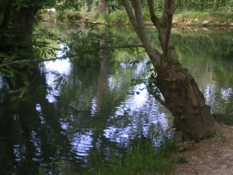 c0124619_012119.jpg