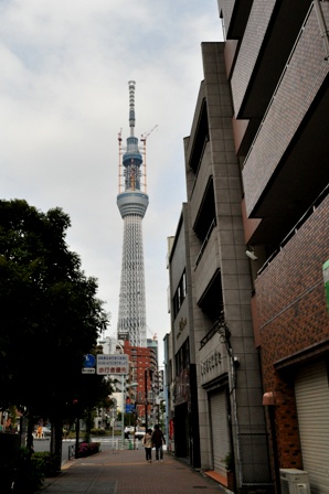 f0013019_1633219.jpg