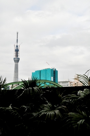 f0013019_1633229.jpg