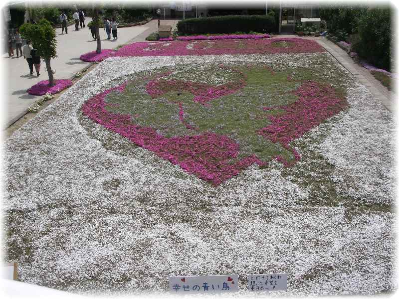 プチ旅行・四国・香川編　その2★風景　芝桜編★_b0194520_4454694.jpg