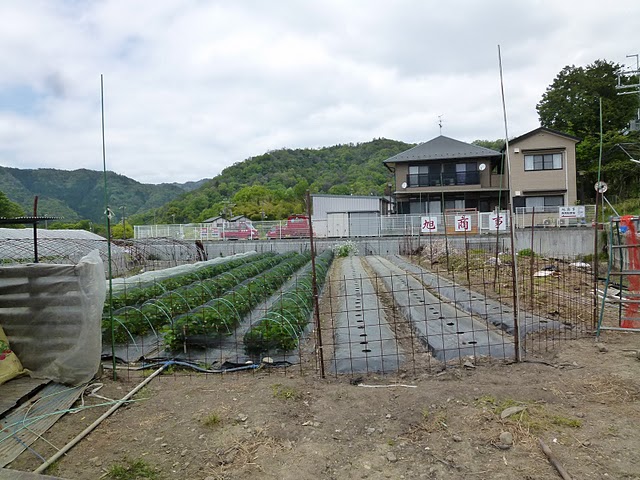 f0142721_18134154.jpg