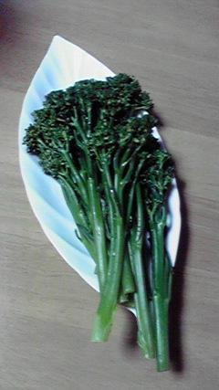 d0110022_0145384.jpg