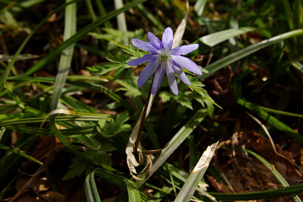 b0062024_9145636.jpg
