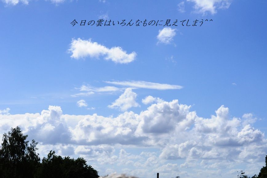 d0104926_23513657.jpg