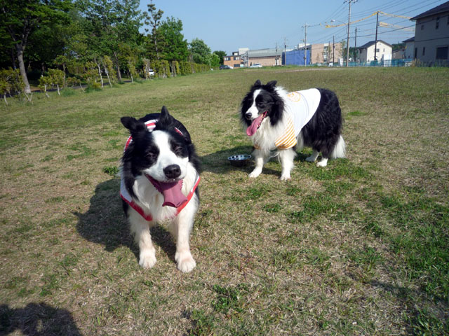d0059230_83252.jpg