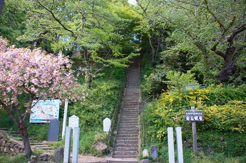 e0206031_10285553.jpg