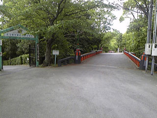 e0145833_3502117.jpg