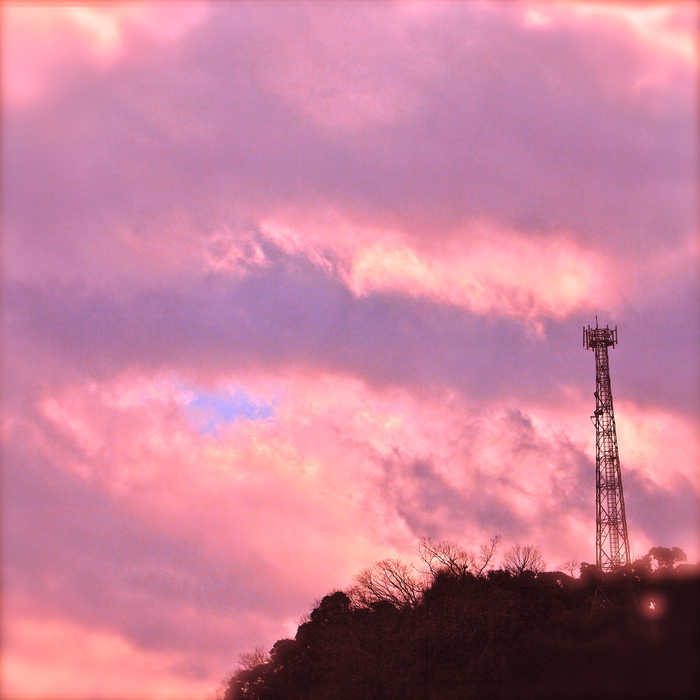 d0204134_74684.jpg