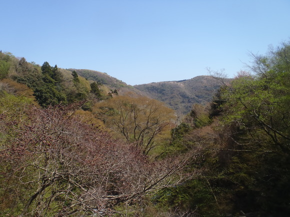f0182938_14263285.jpg