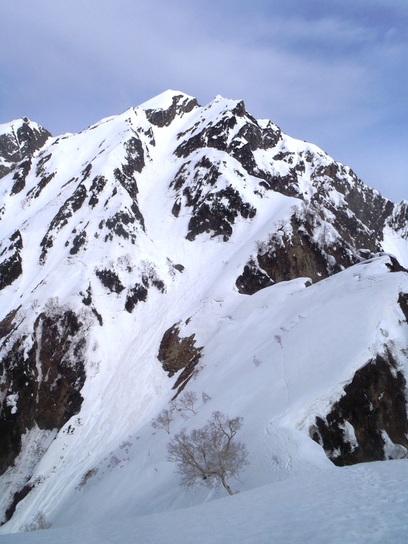 f0182938_1514346.jpg
