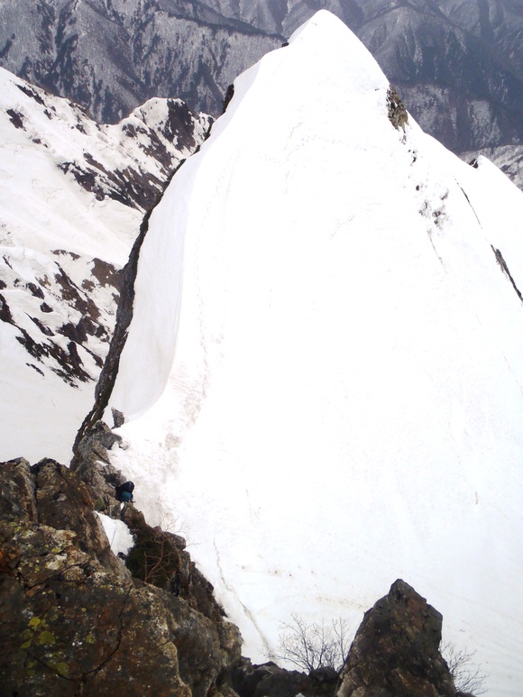 f0182938_1531884.jpg