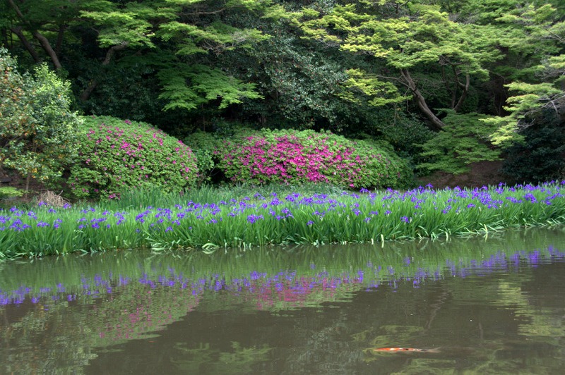 長角寺_d0052340_2285877.jpg