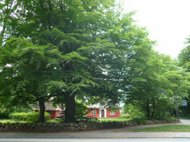 b0109054_17363548.jpg