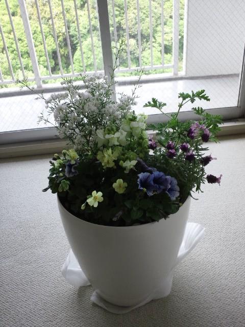 植え込みのお仕事　ハーブ付_a0198658_11453131.jpg