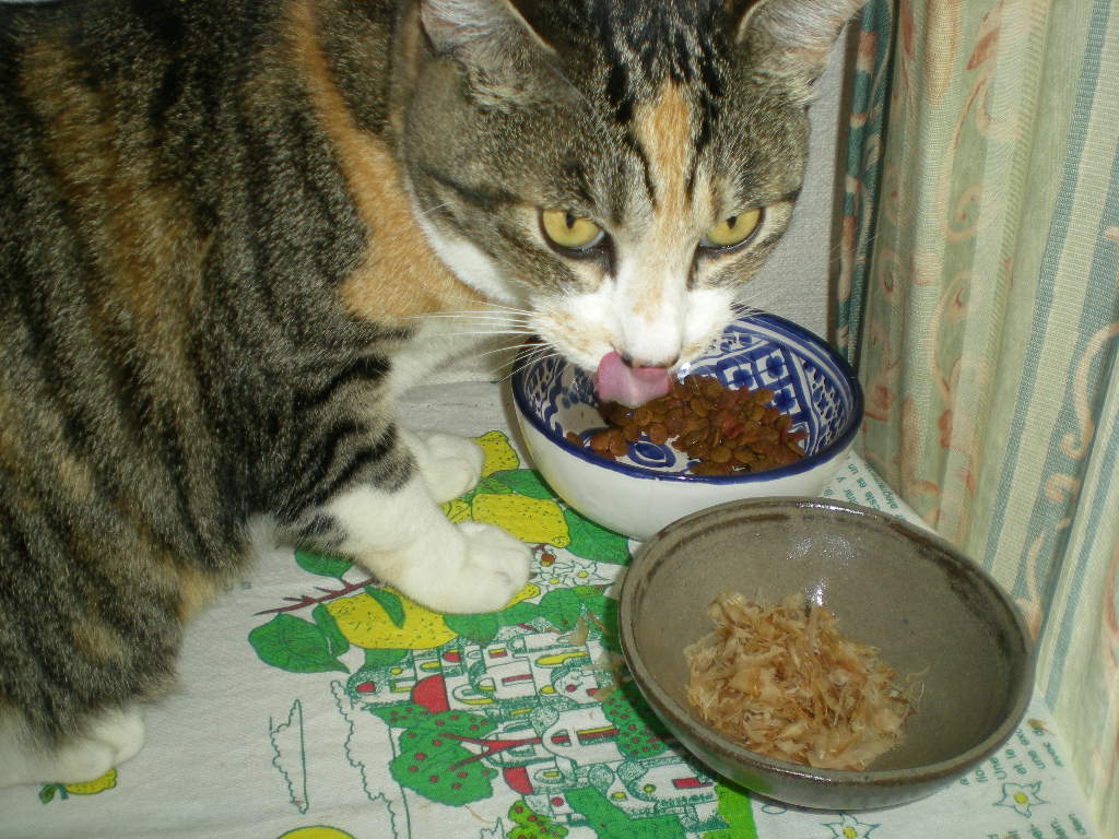 2011年5月10日(火)タマネギとえんどう豆の収穫!_f0060461_20482694.jpg