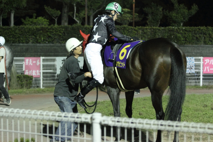 2011年5月9日(月) 高知競馬 10R 第2回 福永洋一記念 その1_a0077663_973511.jpg