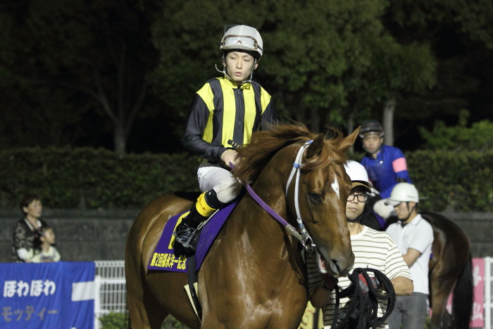 2011年5月9日(月) 高知競馬 10R 第2回 福永洋一記念 その1_a0077663_975812.jpg
