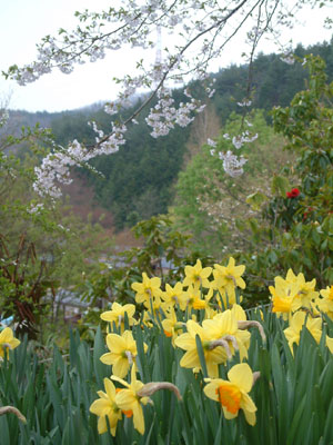 c0050264_1192843.jpg